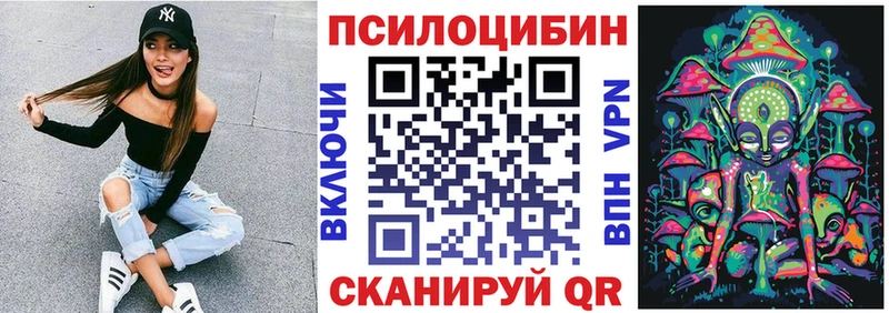 Купить где  Ликино-Дулёво  Галлюциногенные грибы Psilocybine cubensis 